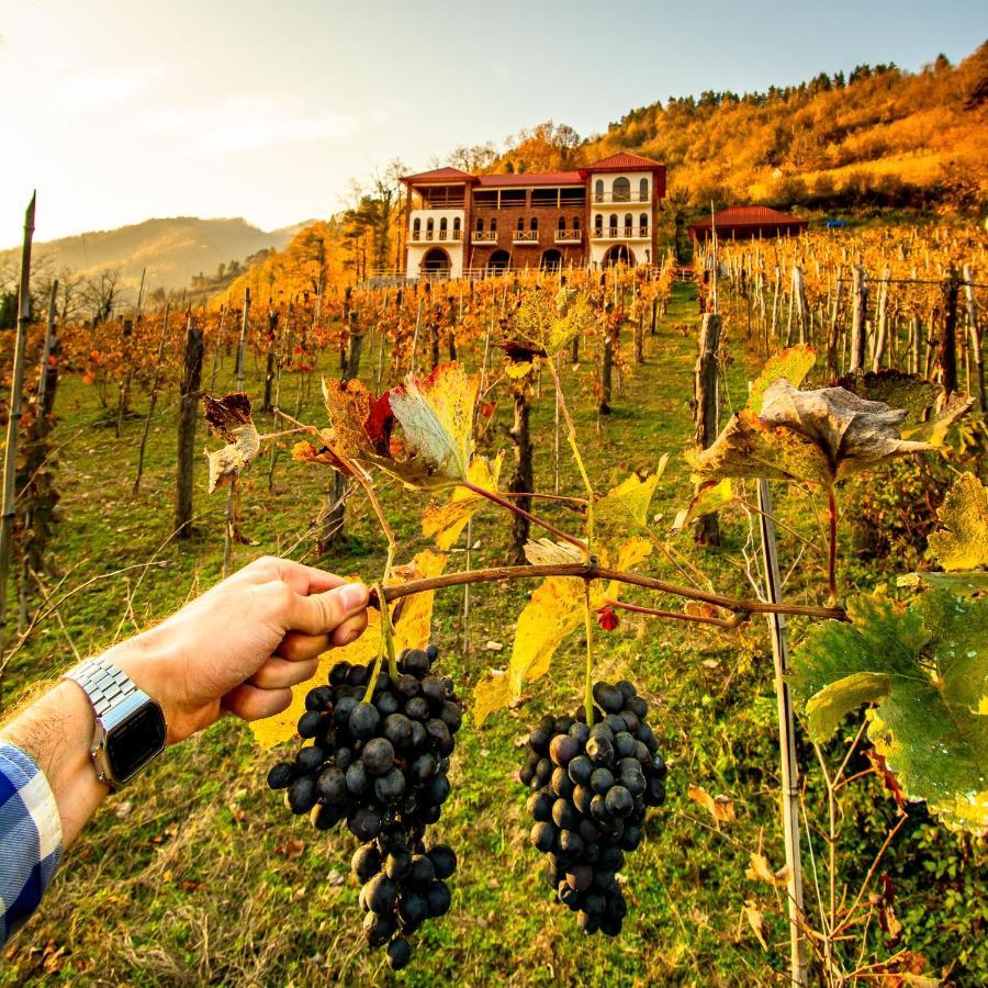 Hotel Chateau Iveri Varjanisi Luaran gambar