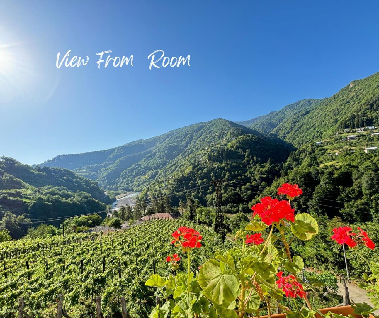 Hotel Chateau Iveri Varjanisi Luaran gambar